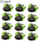 Dudu Osun Tropical Natural Black Soap 150g 12 PACK